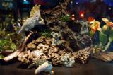 Upscale shopping, Phuket FantaSea