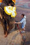 Elephants are very tall