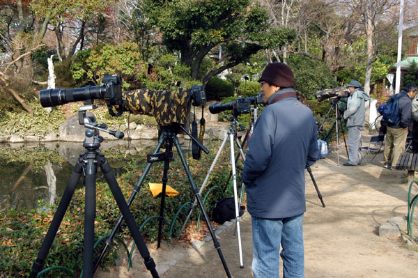 Osaka bird watchers club at Osaka Castle