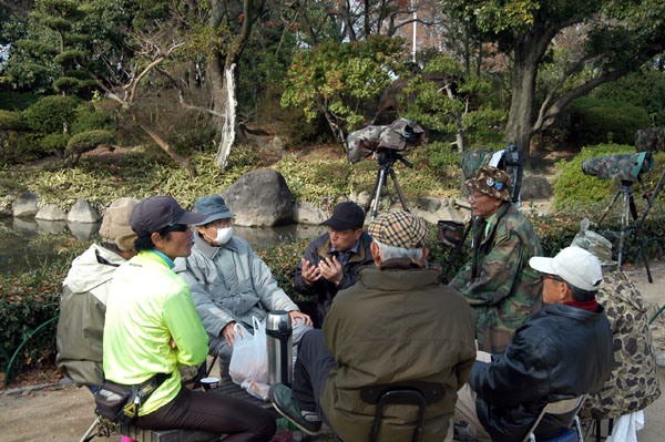 The Osaka birders discussing strategy