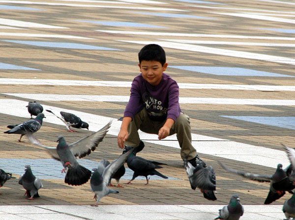 Boy chasing pigeons at Tempozan Harbor Village, Osaka