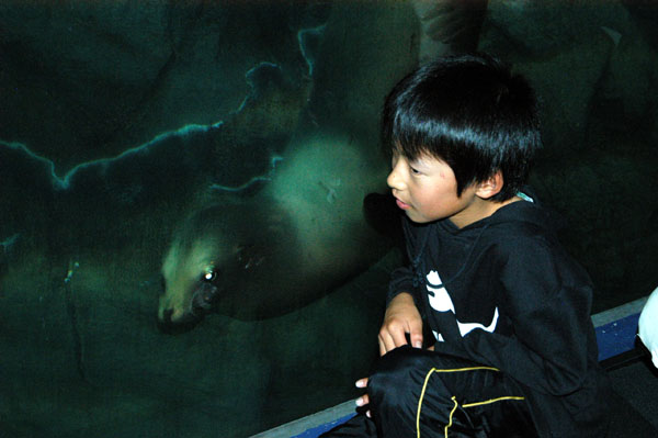 This boy had a little rubber ball that facinated the sea lion