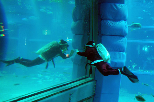 Scuba Santa, Osaka Aquarium