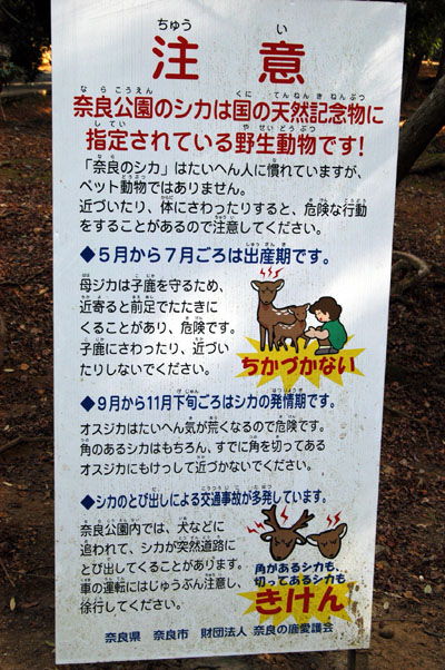 Deer warning, Nara Koen Park