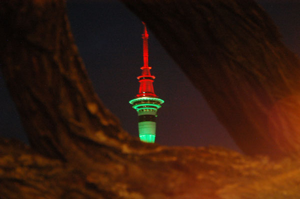 Sky Tower through a tree, Victoria Park, Auckland