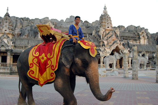 Elephant in front of the Palace of the Elephants