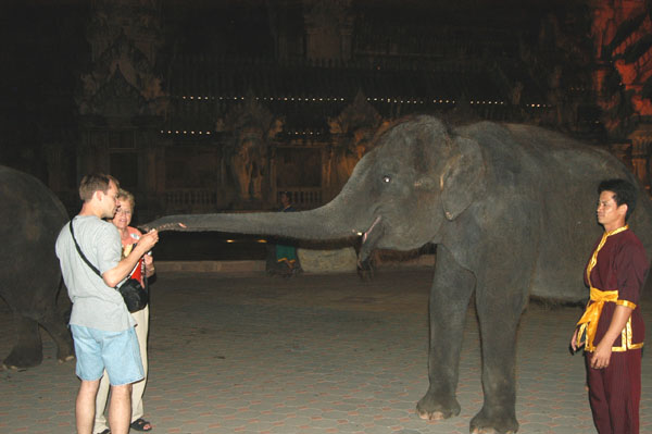Roy feeding the baby elephants after the performance