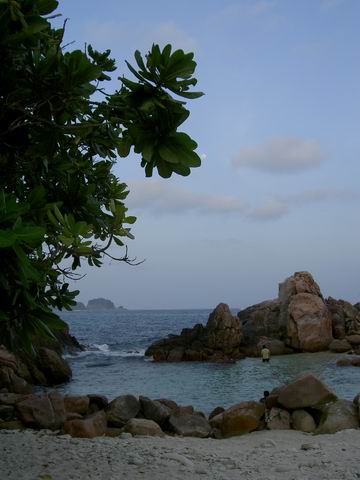 PICT5780.JPG