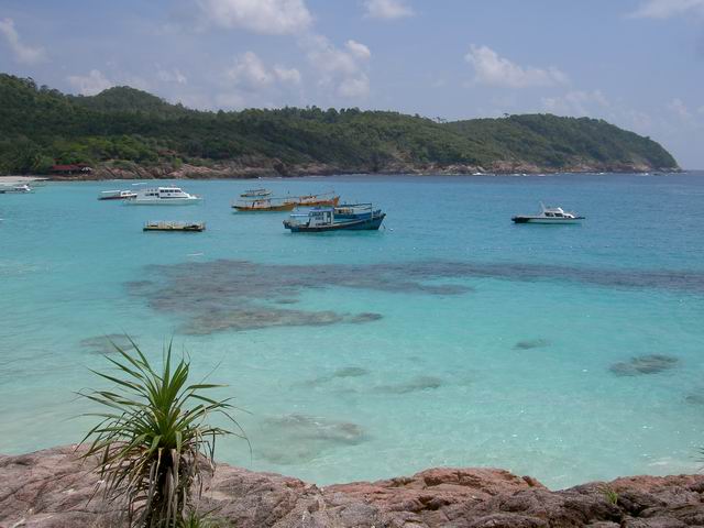 PICT5537.JPG