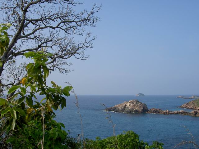 PICT5621.JPG