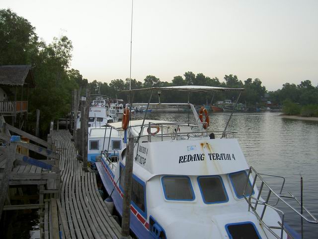PICT5374.JPG