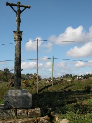 Calvaire, posts, and cows