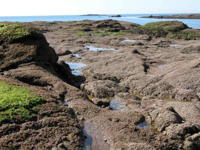 Low tide in Concarneau