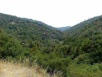 Looking back from the trail