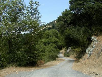 On the Coyote Creek trail