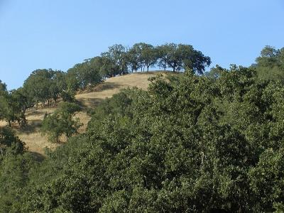 View from the Hunting Hollow Trail