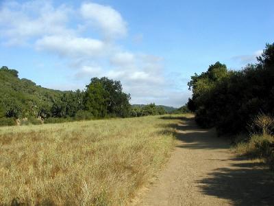 0P8033410_UpTrailIF.jpg