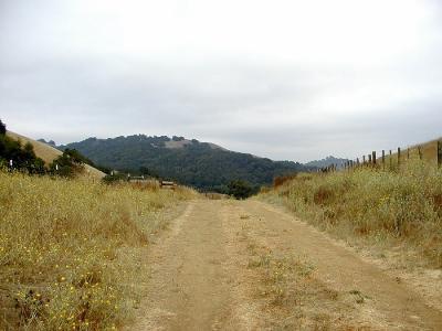0P8033440_ViewGateIF.jpg