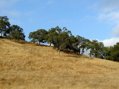 0P8033456_ViewIF.jpg