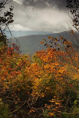 20030927-catskills-0550b5.jpg