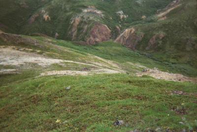 View back of trail -close to top