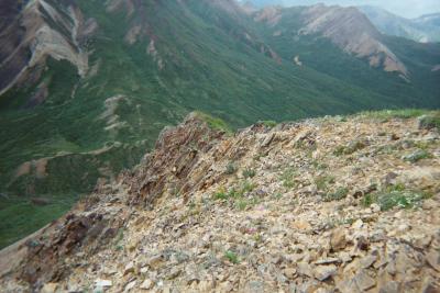 Way Back Down!