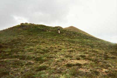 Denali - Polychrome Mts, top to right