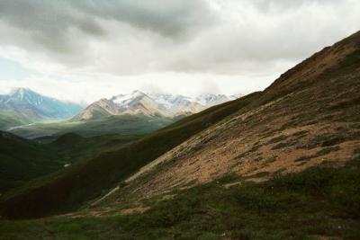 Lighter view of Previous