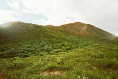 008_5A_0001.jpg