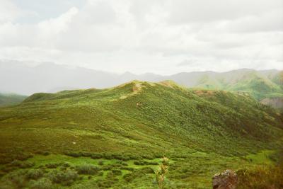 Cover Trail