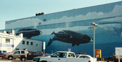 Anchorage- for Ellen B.