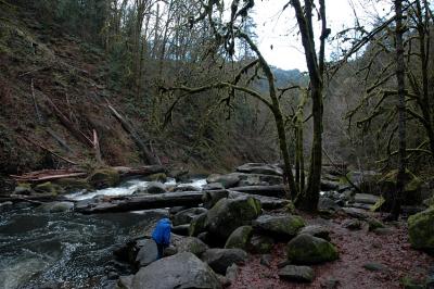 Wet and Cold Oregon