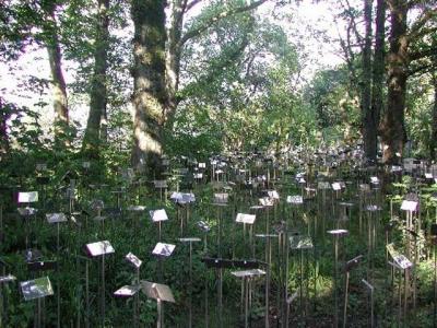 Field of Labels by Vong Phaophanit