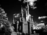 Walt Disney World infrared 11