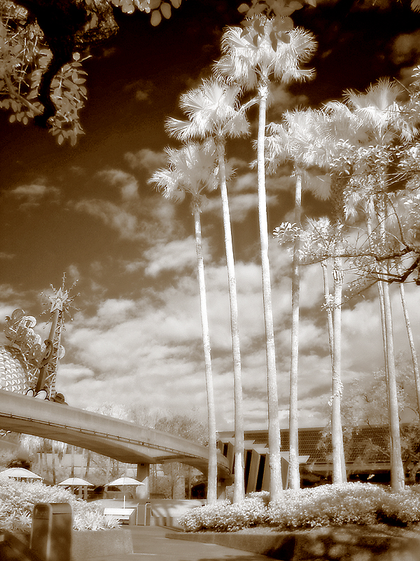 Walt Disney World infrared 9