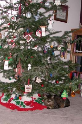 Our Christmas tree - 2004