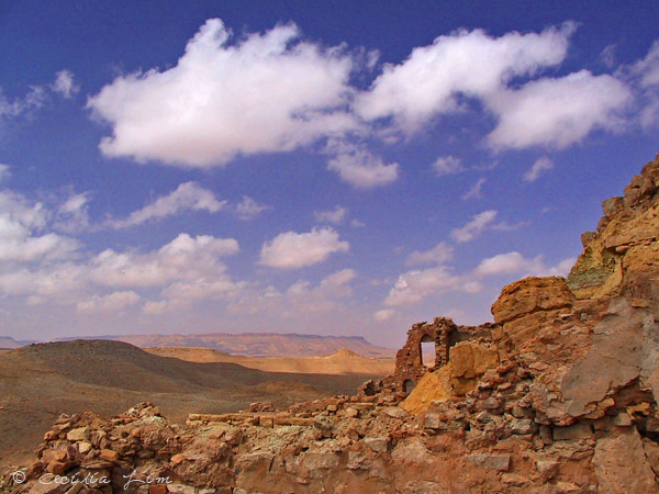 A Window, Beni Barka