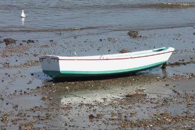 Dinghy, Stranded