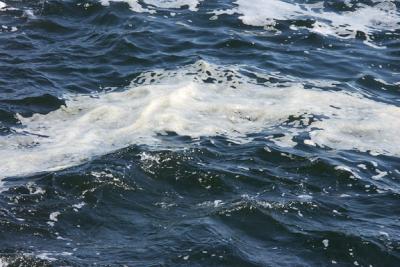Sea Spume