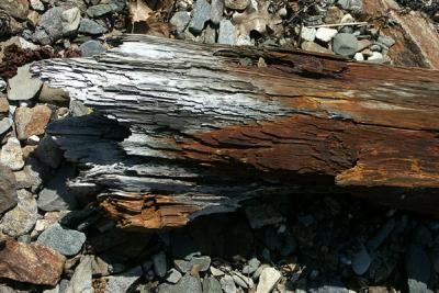 Flotsam, Log
