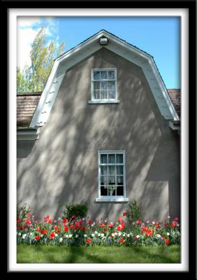 Gray House and Tulips