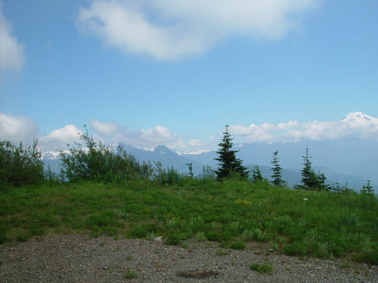 DSC01882.jpg