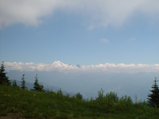 DSC01885.jpg