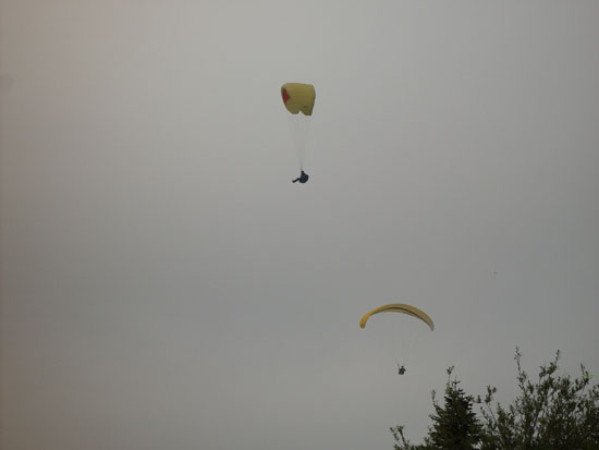 DSC01887.jpg