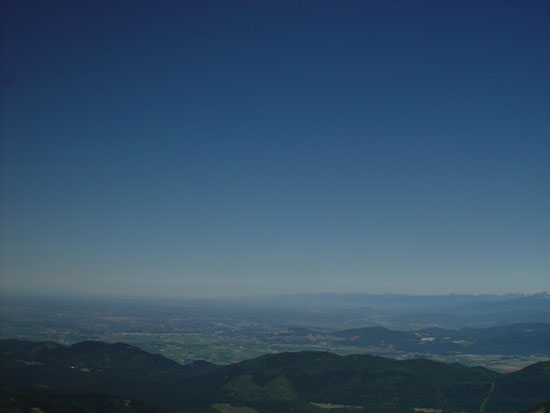 DSC01928.jpg