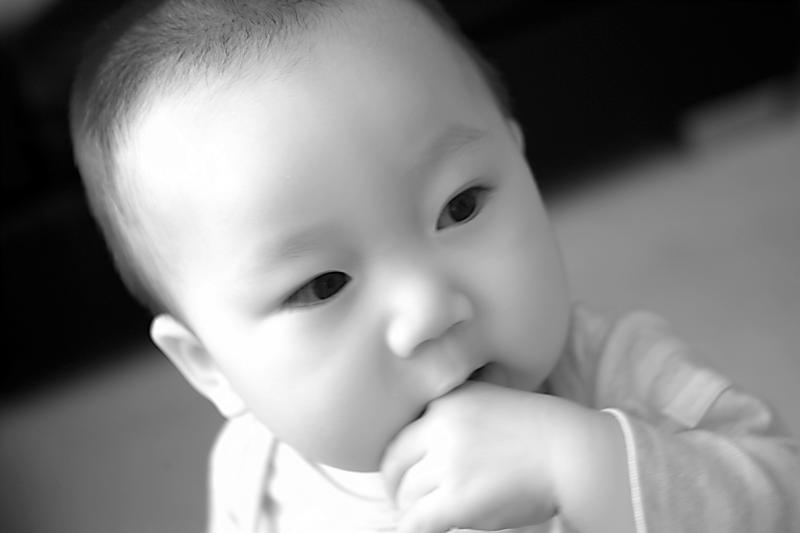 IMG07663ir.jpg