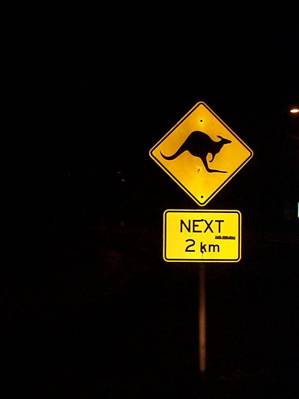 Yes, its a kangaroo crossing, just like deer signs in the US.  They are everywhere!