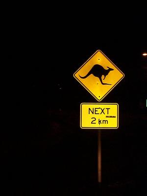 Yes, it's a kangaroo crossing, just like deer signs in the US.  They are everywhere!