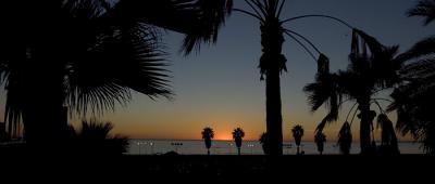 IMG_1658.jpg
