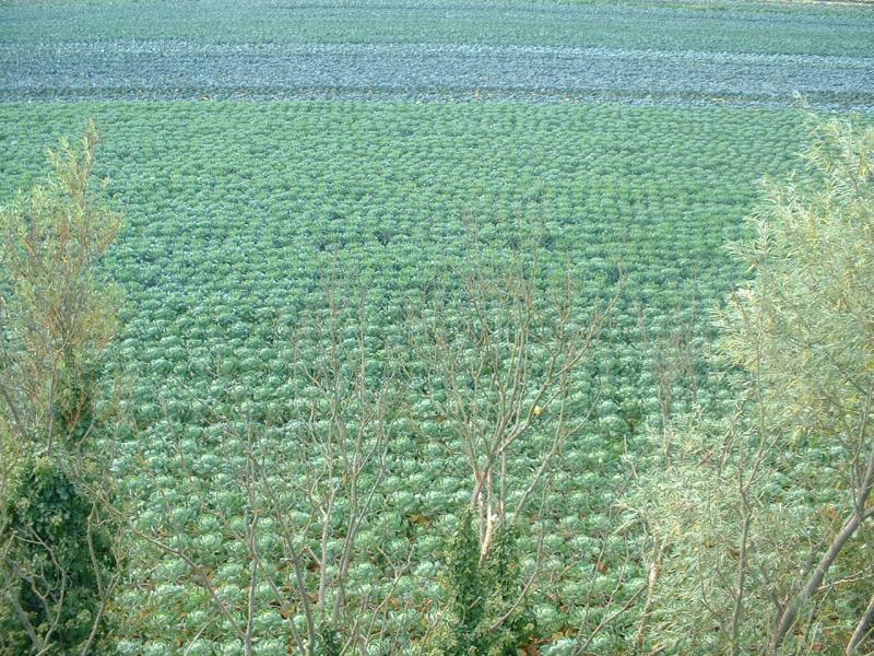 September 27: Millers View